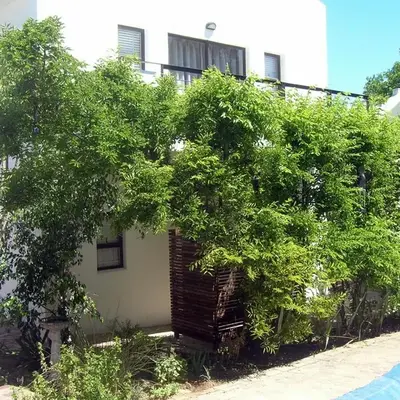 16 Rhodes-North Self Catering Apartment & Studio