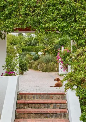 a dog laying on the stairs in a garden at Deux Frères Wine Estate & Luxury Villas in Stellenbosch