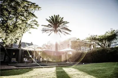 a house with a palm tree in a yard at Explorers Club in Franschhoek