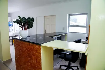 a kitchen with a counter with a potted plant on it at Relaxing Guest House in the heart of Ndabeni in Cape Town
