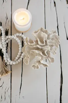 a candle on a wall with a flower on it at Rooi Els Sea Cottage in Rooiels