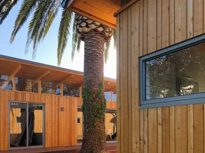 a house with a palm tree in front of it at Palm and Pine Cottage in Cape Town