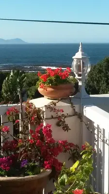 Gallery image of Belle Vue Guesthouse in Hermanus