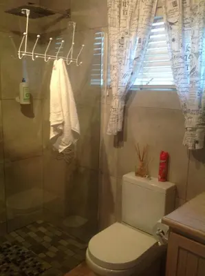 a bathroom with a toilet and a shower with a window at Little Willow Brooke in Franschhoek