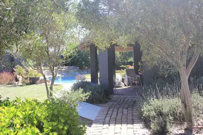 a garden with a brick walkway next to a pool at Olive Cottage in Hermanus