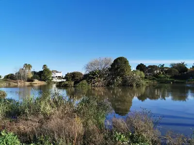a view of a lake with trees and a house at Zebra Place in Cape Town