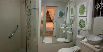 a bathroom with a shower and a toilet and a sink at Seagull Hermanus in Hermanus