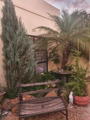 a wooden bench in a garden with palm trees at DOTJJ B & B in Paarl