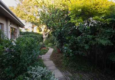 a garden path with flowers and plants next to a house at Theebos in Strand