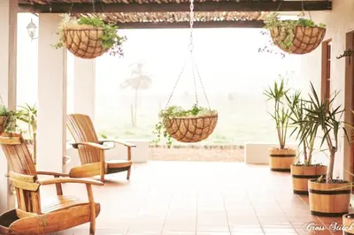 a living room with two chairs and potted plants at Hoogwater Cottage in Wolseley