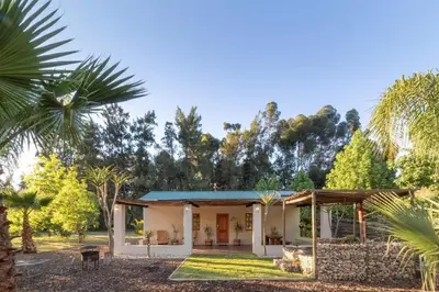 a house with a palm tree in front of it at Hoogwater Cottage in Wolseley
