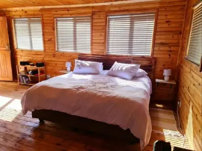 a bedroom with a large bed with wooden walls and windows at Hoogeland's Wood Cabins in Eersterivier