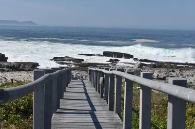 a wooden boardwalk leading to the ocean with waves at 29@Whale Rock Estate in Hermanus