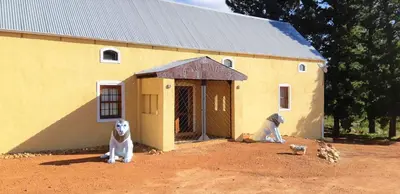 a small yellow building with dogs in front of it at Akkedis at Artemis in Franschhoek