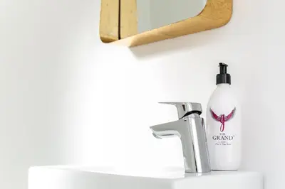 a bathroom sink with a soap bottle on it at La Maison On Main Self-Catering Villa in Paarl