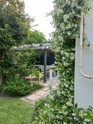 a garden with a pergola and white flowers at Birdsong in Hermanus