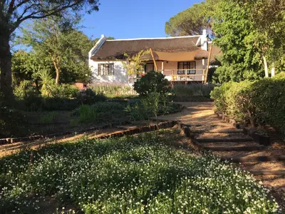 a house with a garden with white flowers at Mooi Bly in Paarl