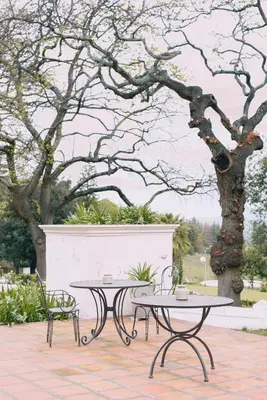 two tables and two chairs next to a tree at Diamant Estate in Paarl