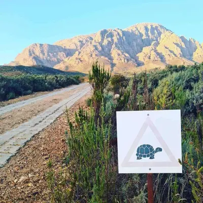 a sign on the side of a road with a turtle crossing at Exquisite chalet on private nature reserve in Wolseley
