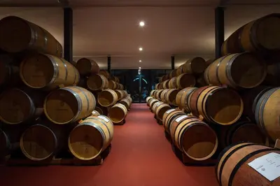 a row of wine barrels in a cellar at Aaldering Luxury Lodges in Stellenbosch