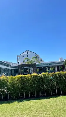 a hedge in front of a building at 417 The Sandown in Cape Town