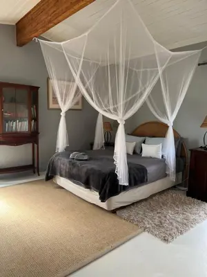a bedroom with a large bed with mosquito nets at Edible Shores in Pringle Bay