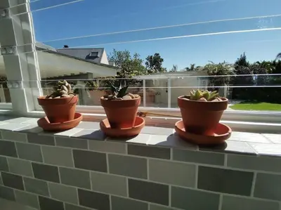 four potted plants sitting on a window sill at A Touch of Country in Stellenbosch