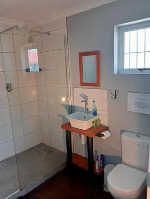 a bathroom with a sink and a shower and a toilet at Aloe Ocean Flatlet in Bettyʼs Bay