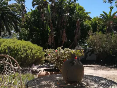 a cactus sitting on a table in a garden at Beulah Lodge in Cape Town