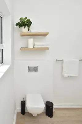 a white bathroom with a toilet and a plant at Fernkloof Cottage in Hermanus