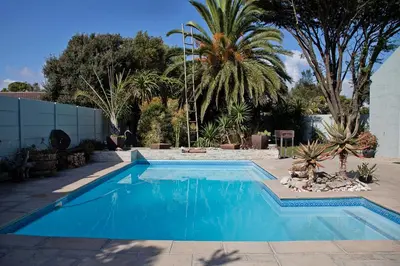 a swimming pool in a yard with palm trees at Aloe Aloe Cottage in Cape Town