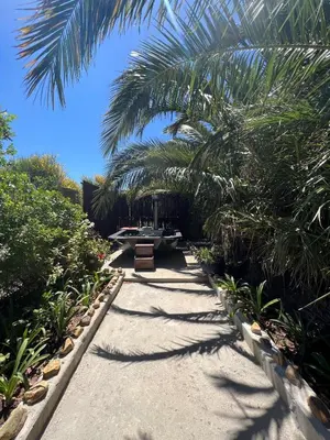 a pathway with a bench under a palm tree at Santika Garden Cottage Stellenbosch in Stellenbosch