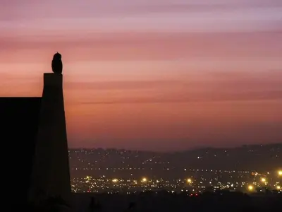 a bird sitting on top of a tower at sunset at Helderberg Guesthouse in Gordonʼs Bay