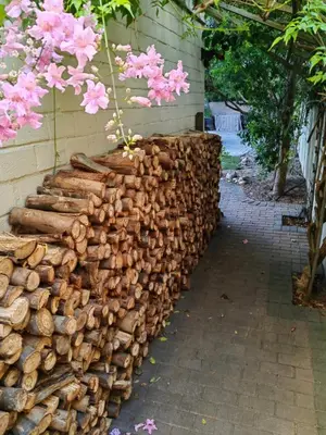 a pile of fire wood against a wall at Teas & Seas Self Catering Cottage in Cape Town