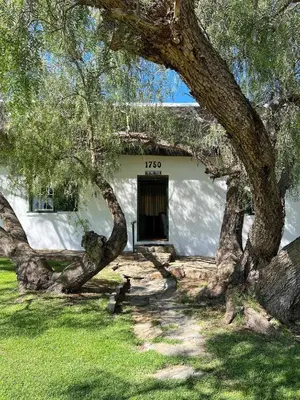 a house with a large tree in front of it at Penhill Farm Peppertree Cottage in Nuy