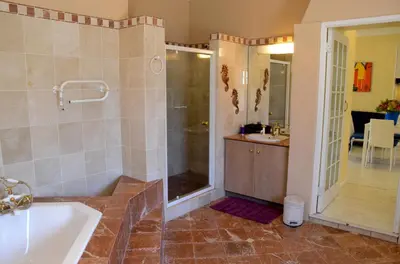 a bathroom with a tub and a shower and a sink at Kleinbosch Lodge in Stellenbosch