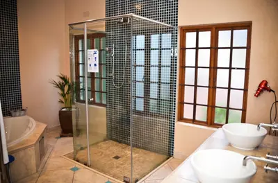 a bathroom with a shower and a sink at Kleinbosch Lodge in Stellenbosch