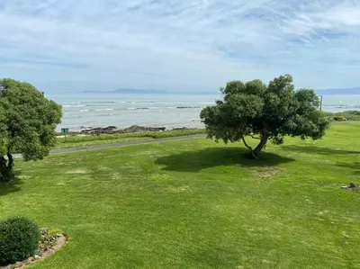 a tree in a field of grass next to the ocean at Sunset Paradise in Cape Town
