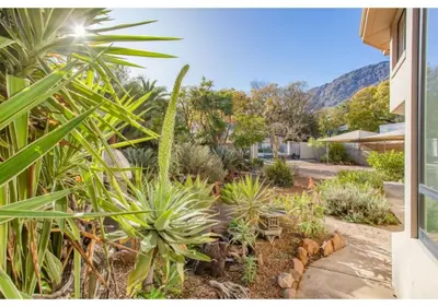 a garden with a lot of plants and trees at Florin’s Crest 3 Bedroom Villa, Franschhoek in Franschhoek