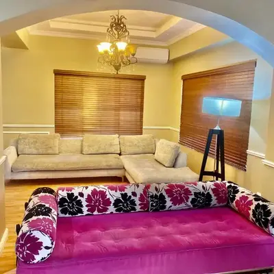 Beautiful apartment in century city