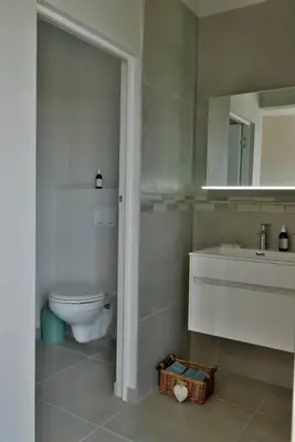 a bathroom with a toilet and a sink and a mirror at The Whale and Waddler - Unit with a view in Kleinmond
