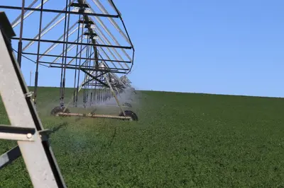 a tractor spraying a field of green crops at Blou Porselein Guestfarm in Hermon