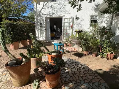 a group of potted plants in front of a house at Courtyard on Weder in Greyton