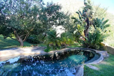 a swimming pool in a yard with trees at Porcupine Hills Olive and Guest Farm in Botrivier