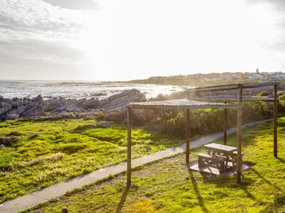 a bench sitting on the grass next to the ocean at Two Palm House - Vermont Hermanus in Hermanus