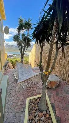 a palm tree sitting on a brick walkway next to a fence at The Butterfly Villa in Pringle Bay