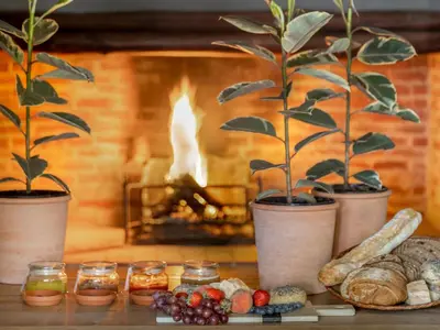 a table with bread and plants in front of a fireplace at Greyton Lodge in Greyton