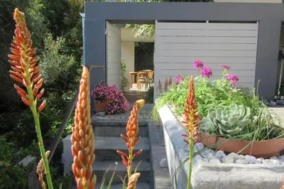 a garden with potted plants and flowers on steps at Pecan Tree Forest Studio B in Stellenbosch