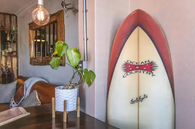 two surfboards leaning up against a wall with a potted plant at TnT on Main in Hermanus