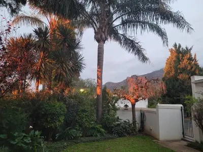 a palm tree in the yard of a house at Stellenbosch Paradyskloof Unit in Stellenbosch